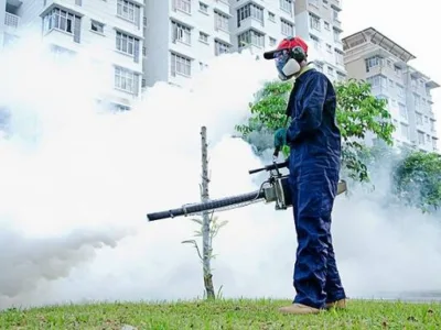 Servicii DDD Bucuresti