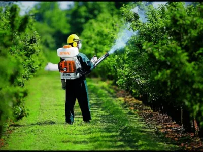 Servicii DDD Bucuresti