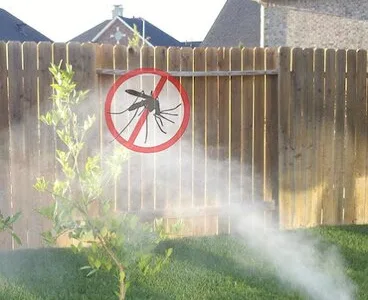 Servicii DDD Bucuresti