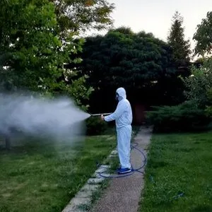 Servicii DDD Bucuresti