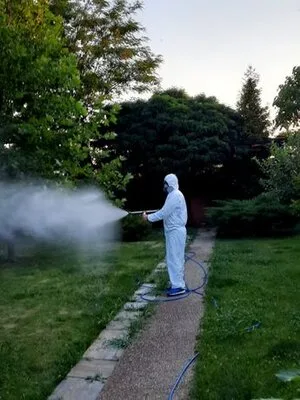 Servicii DDD Bucuresti