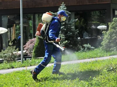 Servicii DDD Bucuresti