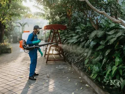 Servicii DDD Bucuresti