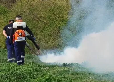 Servicii DDD Bucuresti