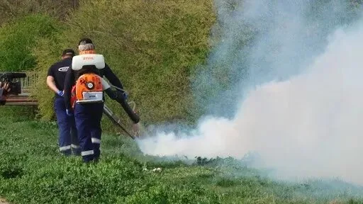 Servicii DDD Bucuresti