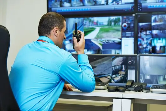 Agentie Paza si Protectie Bucuresti