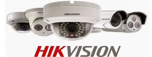 Securitate electronica