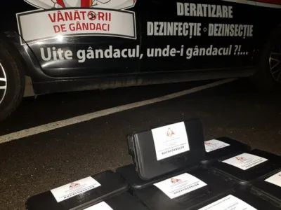 Dezinsectie - deratizare - dezinfectie - Bucuresti si Ilfov