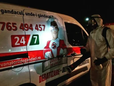 Dezinsectie - deratizare - dezinfectie - Bucuresti si Ilfov