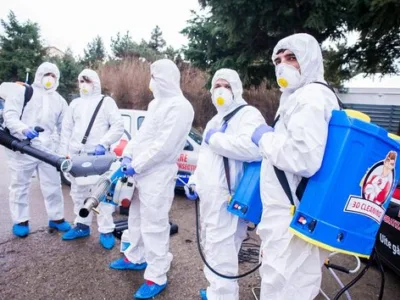 Dezinsectie - deratizare - dezinfectie - Bucuresti si Ilfov