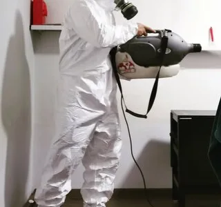 Dezinsectie - deratizare - dezinfectie - Bucuresti si Ilfov