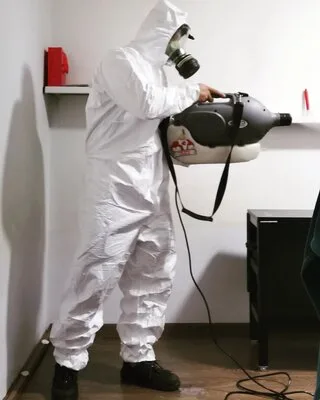 Dezinsectie - deratizare - dezinfectie - Bucuresti si Ilfov