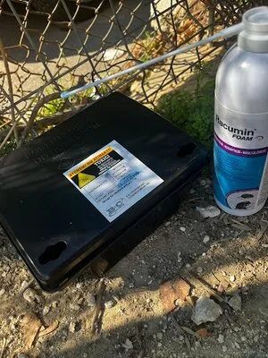 Dezinsectie - Dezinfectie si Deratizare - Bucuresi