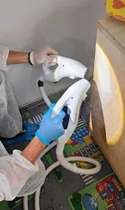 Dezinsectie - Dezinfectie si Deratizare - Bucuresi