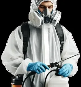 Dezinsectie - Dezinfectie si Deratizare - Bucuresi