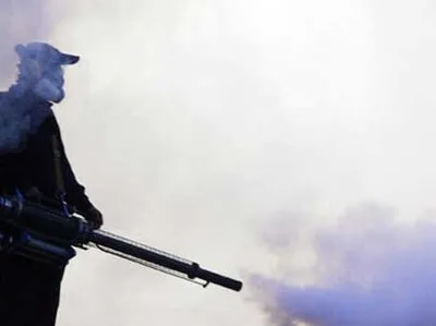 Servicii ddd non stop Bucuresti si Ilfov