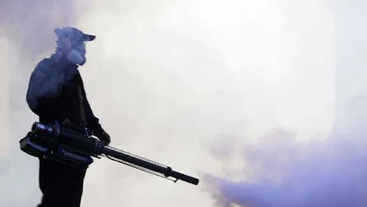 Servicii ddd non stop Bucuresti si Ilfov