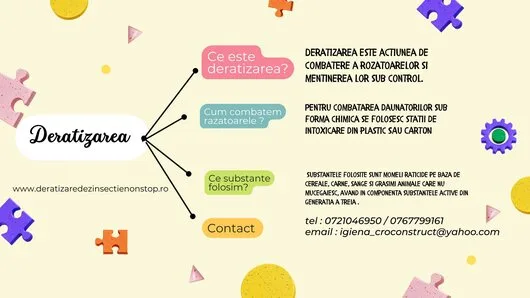 Servicii ddd non stop Bucuresti si Ilfov