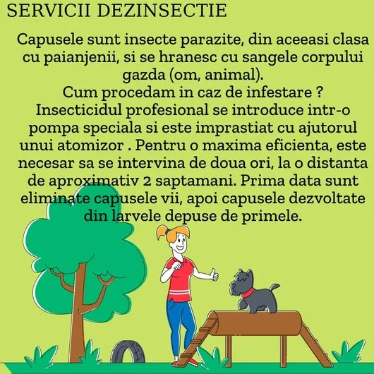 Servicii ddd non stop Bucuresti si Ilfov