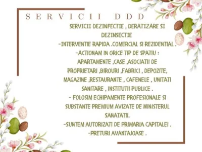 Servicii ddd non stop Bucuresti si Ilfov
