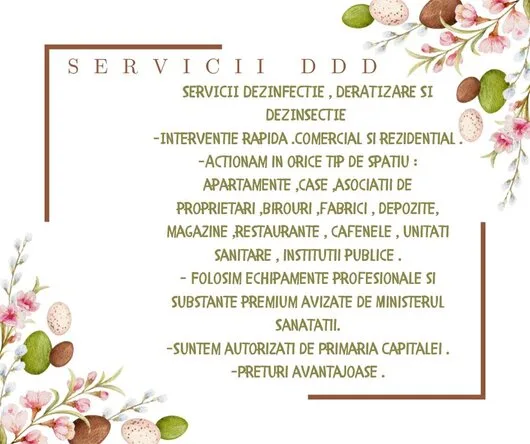Servicii ddd non stop Bucuresti si Ilfov