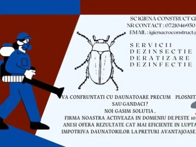 Servicii ddd non stop Bucuresti si Ilfov