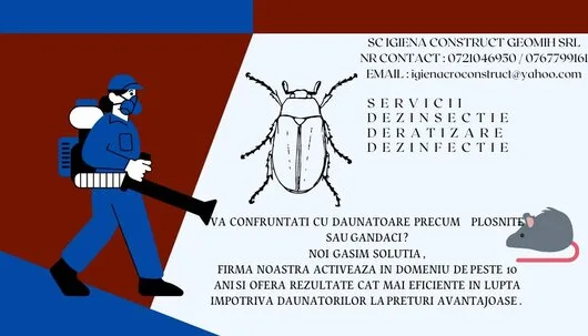 Servicii ddd non stop Bucuresti si Ilfov