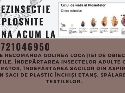 Servicii ddd non stop Bucuresti si Ilfov