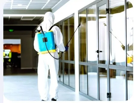 Servicii de deratizare - dezinsectie si dezinfectie in Bucuresti