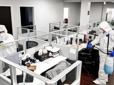 Servicii de deratizare - dezinsectie si dezinfectie in Bucuresti