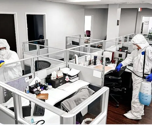 Servicii de deratizare - dezinsectie si dezinfectie in Bucuresti