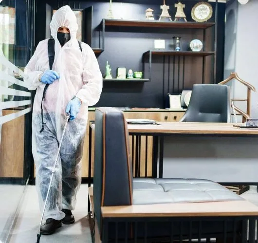 Servicii de deratizare - dezinsectie si dezinfectie in Bucuresti