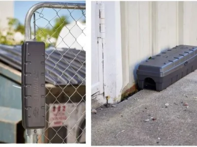 Servicii de deratizare - dezinsectie si dezinfectie in Bucuresti