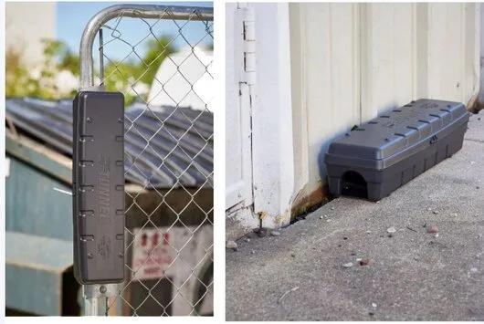 Servicii de deratizare - dezinsectie si dezinfectie in Bucuresti