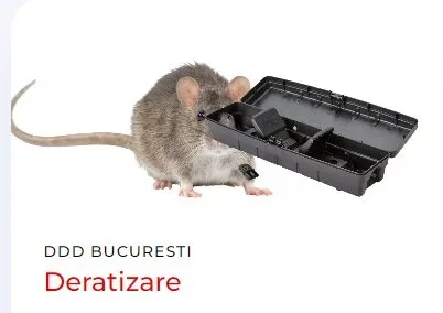 Servicii de deratizare - dezinsectie si dezinfectie in Bucuresti