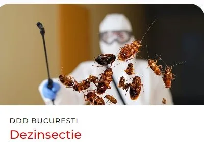 Servicii de deratizare - dezinsectie si dezinfectie in Bucuresti