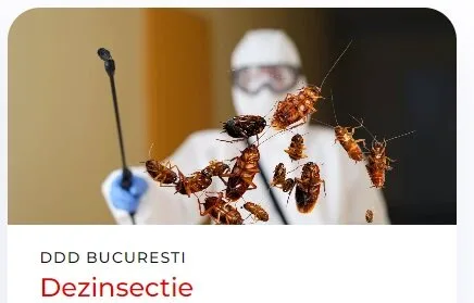 Servicii de deratizare - dezinsectie si dezinfectie in Bucuresti