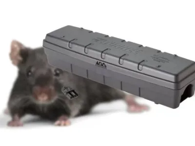 Servicii de deratizare - dezinsectie si dezinfectie in Bucuresti