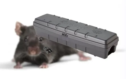 Servicii de deratizare - dezinsectie si dezinfectie in Bucuresti