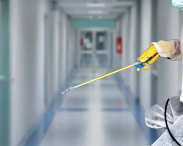 Servicii de deratizare - dezinsectie si dezinfectie in Bucuresti