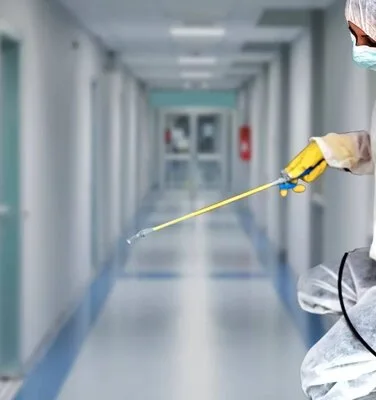 Servicii de deratizare - dezinsectie si dezinfectie in Bucuresti