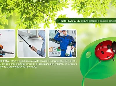 Dezinsectie - dezinfectie si deratizare Bucuresti
