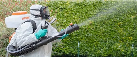 Dezinsectie - dezinfectie si deratizare Bucuresti