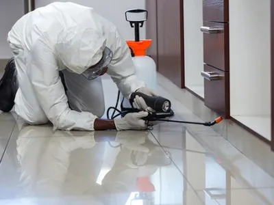 Dezinsectie - dezinfectie si deratizare Bucuresti