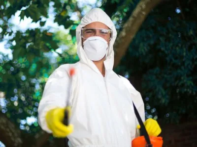 Servicii deratizare - dezinfectie si dezinsectie - Bucuresti