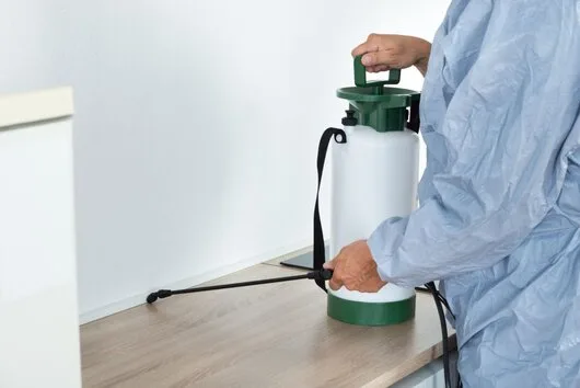 Dezinsectie - deratizare si dezinfectie - Bucuresti