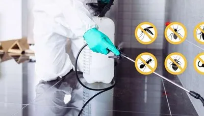 Dezinsectie - deratizare si dezinfectie - Bucuresti