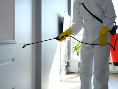 Dezinsectie - deratizare si dezinfectie - Bucuresti