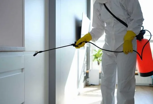 Dezinsectie - deratizare si dezinfectie - Bucuresti