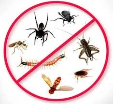 Dezinsectie - deratizare si dezinfectie - Bucuresti